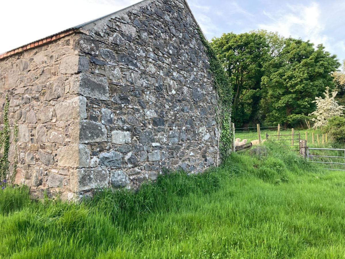 Villa Hillhead Country Retreat Castlewellan Esterno foto